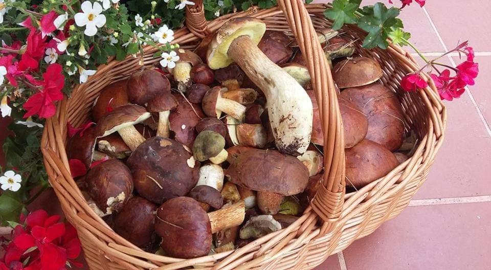 Agroturystyka Rebowo Klodawa  Εξωτερικό φωτογραφία