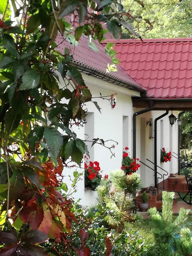Agroturystyka Rebowo Klodawa  Εξωτερικό φωτογραφία